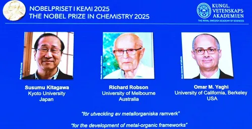 Những điều cần biết về Giải Nobel 2025 - Ảnh 3.